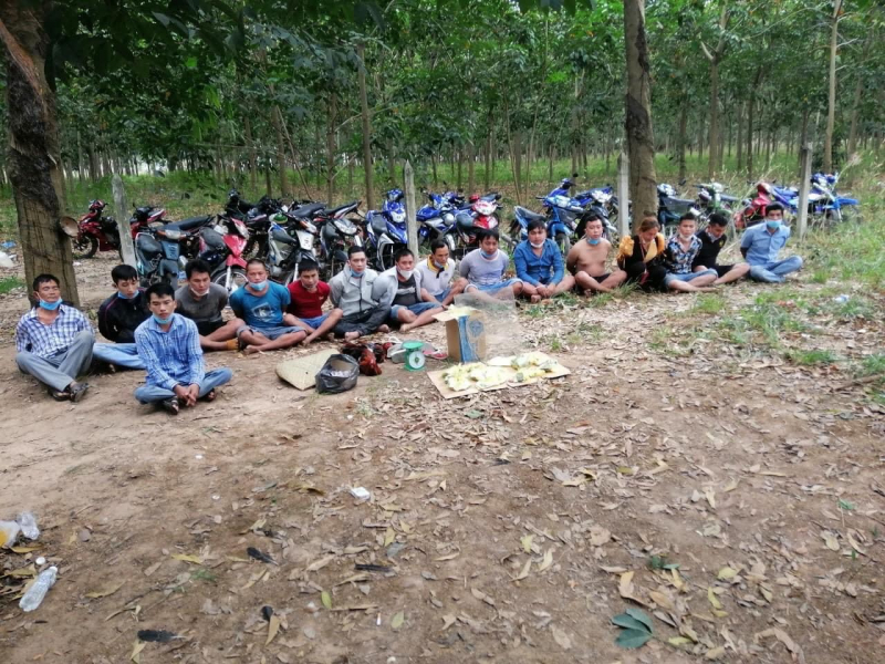 Xóa sổ trường gà trong rừng cao su -1