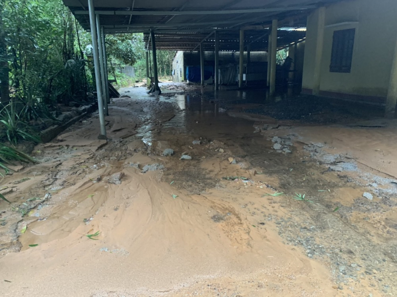 Sạt lở núi, di dời khẩn cấp 14 hộ dân -0