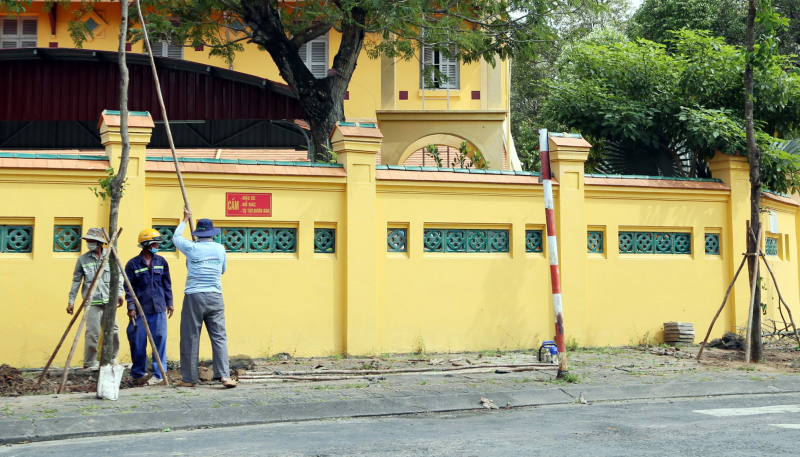 Thay thế 46 cây sứ có tuổi đời hàng chục năm ở Cần Thơ -0