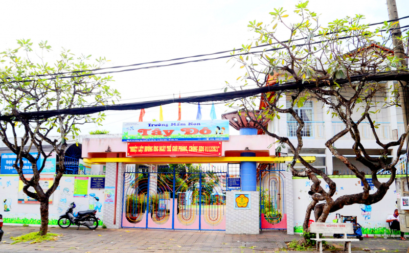 Thay thế 46 cây sứ có tuổi đời hàng chục năm ở Cần Thơ -0