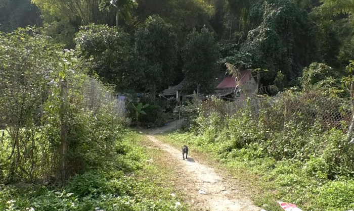 Triệt phá tụ điểm bán lẻ ma tuý, bắt giữ 3 đối tượng cùng nhiều tang vật -1