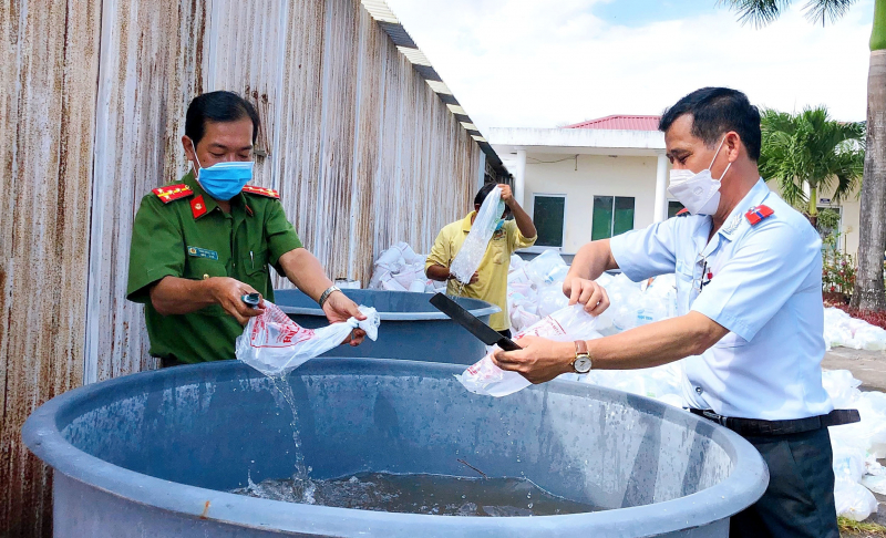 Tiêu hủy gần 5,3 triệu con tôm giống chưa qua kiểm dịch -0