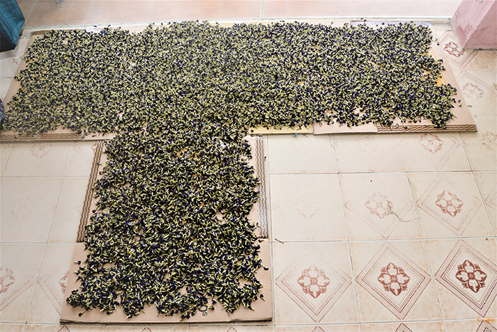 Trăm năm tơ lụa dưới tay người -0