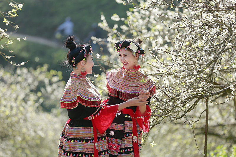 Nhớ Tây Bắc -0
