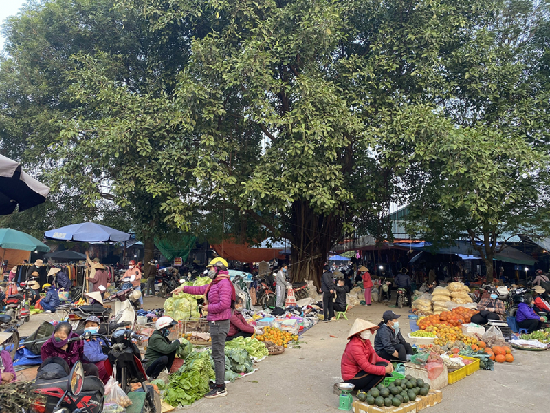 Chợ Phiên Tết luôn là nơi tuyệt vời để khám phá văn hóa dân tộc và mua sắm các vật phẩm độc đáo. Hãy xem ảnh để cảm nhận căn bản và vui chơi.
