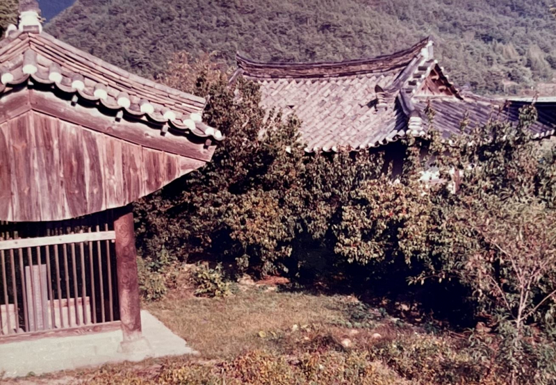 Hậu duệ nhà Lý ở Hàn Quốc trải lòng: Thật xấu hổ nếu không nói được tổ tiên mình là ai -0