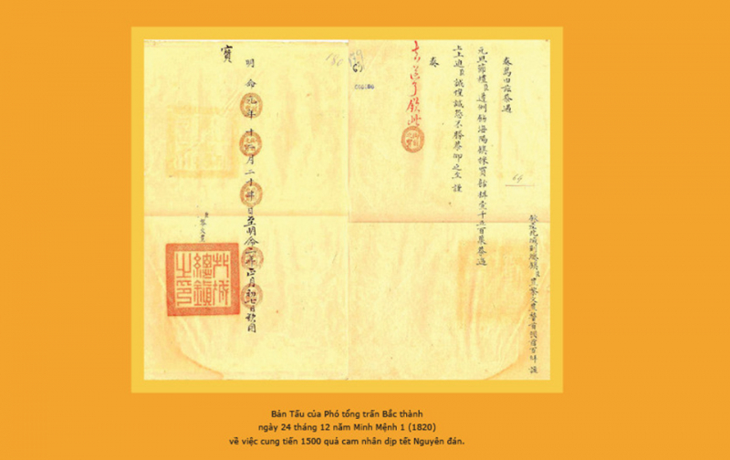 Archives on traditional Tet introduces to public -0
