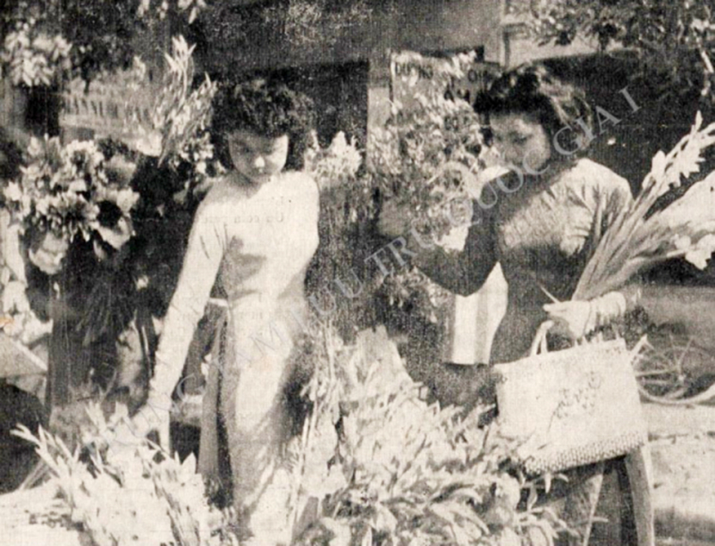 Archives on traditional Tet introduces to public -0