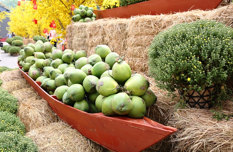 Sắc xuân đang về trên thành phố mang tên Bác -0