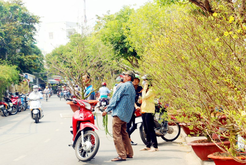 Thay “áo mới” cho những làng hoa kiểng miệt châu thổ Cửu Long (TET) -0