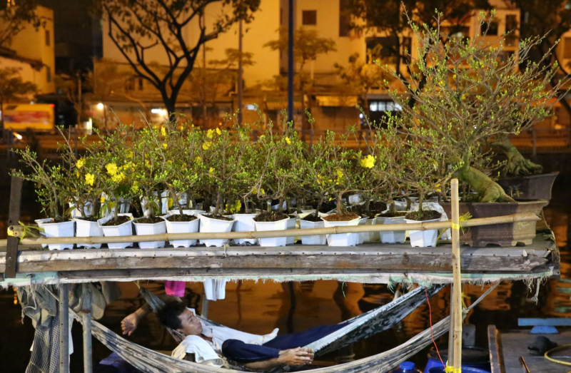 Dân TP đổ xô đến chợ hoa “trên bến dưới thuyền” mua hoa chưng Tết -3