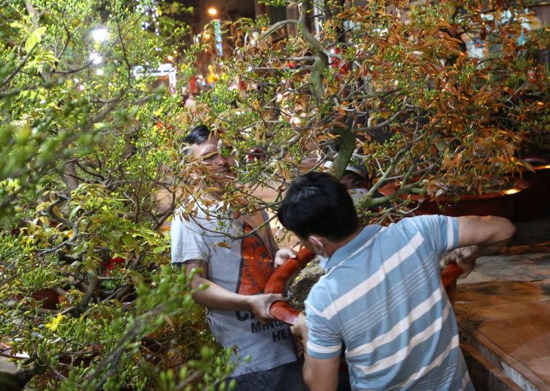 Dân TP đổ xô đến chợ hoa “trên bến dưới thuyền” mua hoa chưng Tết -0