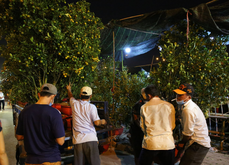 Dân TP đổ xô đến chợ hoa “trên bến dưới thuyền” mua hoa chưng Tết -2