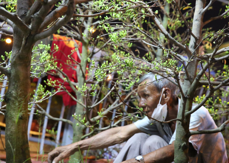 Dân TP đổ xô đến chợ hoa “trên bến dưới thuyền” mua hoa chưng Tết -5