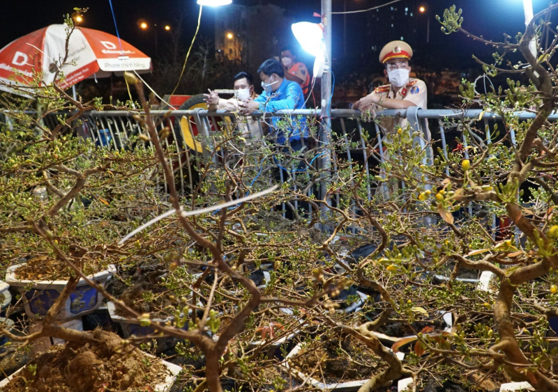 Dân TP đổ xô đến chợ hoa “trên bến dưới thuyền” mua hoa chưng Tết -8