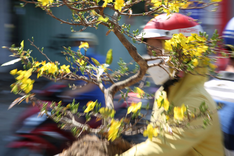 Trưa ngày cuối năm, hối hả đưa xuân về nhà -2