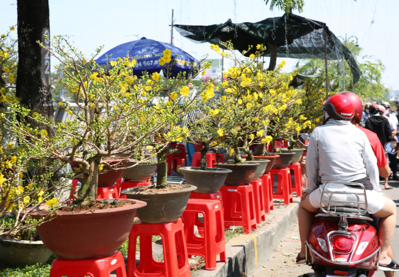 Trưa ngày cuối năm, hối hả đưa xuân về nhà -3