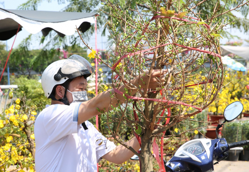 Trưa ngày cuối năm, hối hả đưa xuân về nhà -4