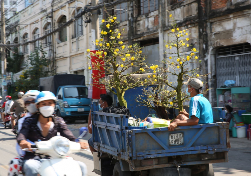 Trưa ngày cuối năm, hối hả đưa xuân về nhà -5