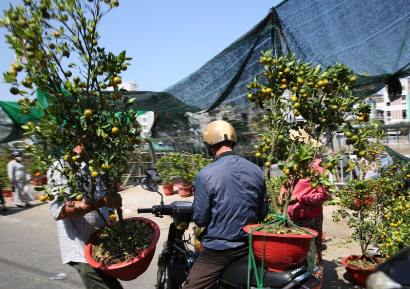 Trưa ngày cuối năm, hối hả đưa xuân về nhà -3