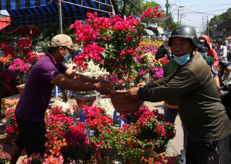 Trưa ngày cuối năm, hối hả đưa xuân về nhà -4