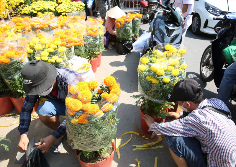 Trưa ngày cuối năm, hối hả đưa xuân về nhà -5