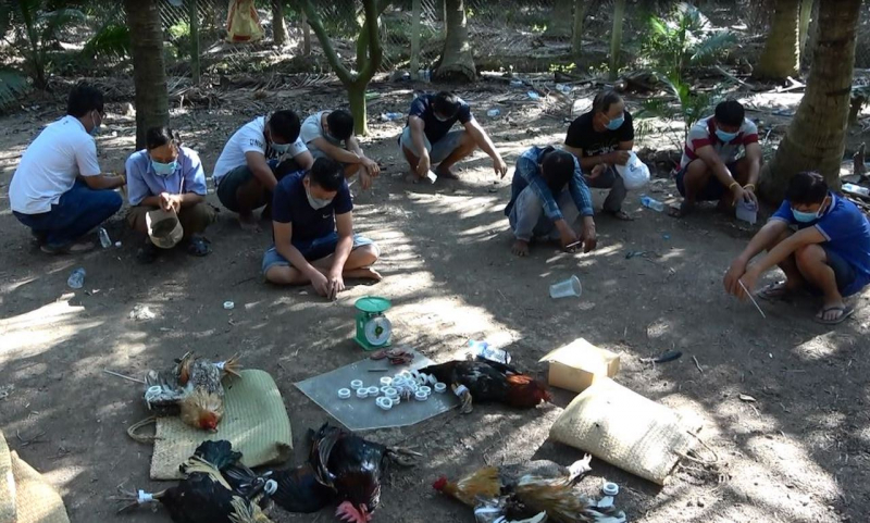 hiện trường bắt quả tang. ảnh thanh việt.jpg -0