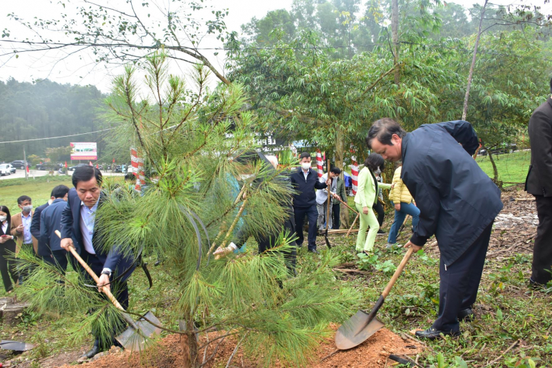 Thừa Thiên-Huế phát động phong trào “Tết trồng cây đời đời nhớ ơn Bác Hồ”  -0