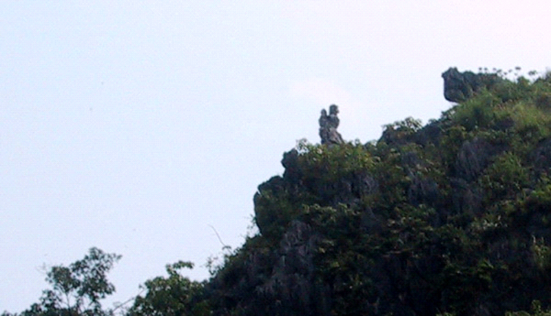 image003.png -0