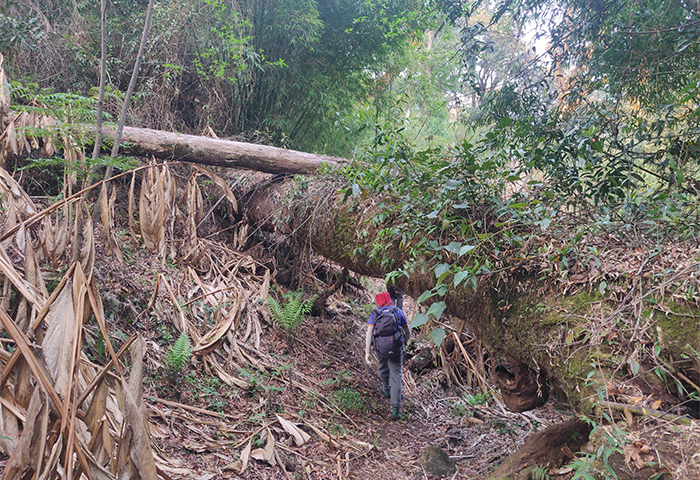 Ba ngày khám phá“hiểm địa” Tây Bắc -0