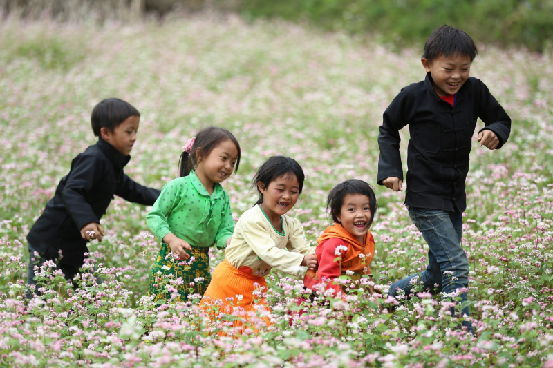 Kéo vợ hay cướp vợ? -0