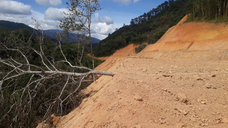 Vụ phá rừng làm đường, hàng trăm m3 gỗ đã đi đâu? -0