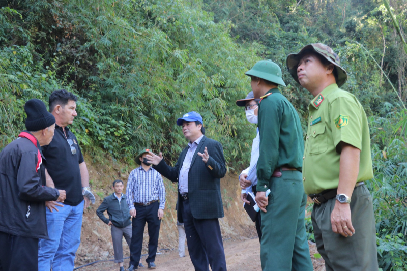 Vụ phá rừng làm đường, hàng trăm m3 gỗ đã đi đâu? -0