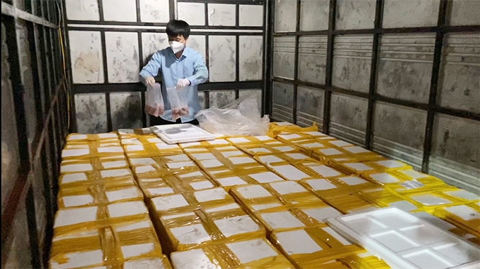 Phát hiện, bắt giữ xe tải vận chuyển 1750 kg cá khoai ướp pooc – mon -0