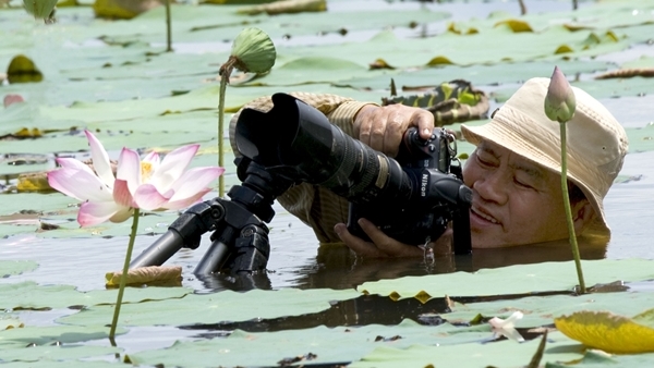1a_Lan_loi_doi_sen-1645769990958.jpg