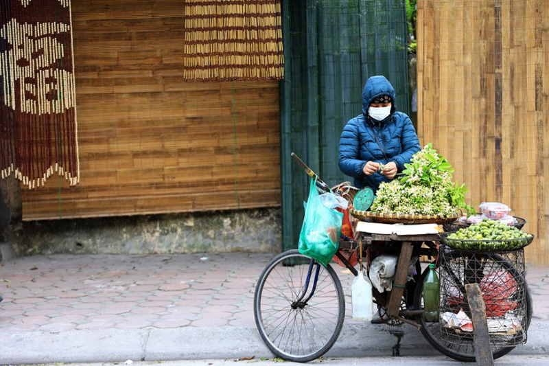 Hanoi filled with scent of grapefruit flowers -0