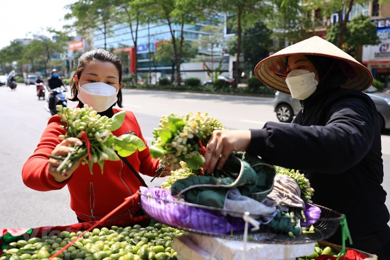 Hanoi filled with scent of grapefruit flowers -6