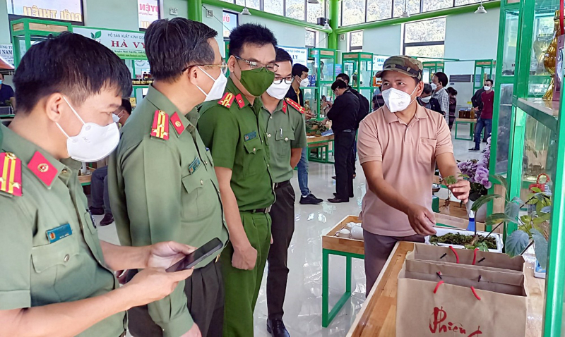 Khai trương Khu trung tâm giới thiệu, tổ chức hội chợ, phiên chợ sâm Ngọc Linh trị giá 24,6 tỷ đồng -0