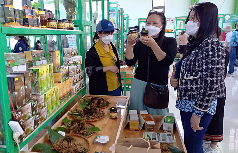 Khai trương Khu trung tâm giới thiệu, tổ chức hội chợ, phiên chợ sâm Ngọc Linh trị giá 24,6 tỷ đồng -0