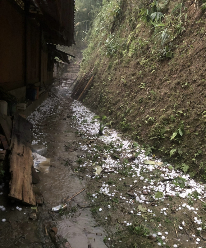 Mưa đá ở Sơn La làm bà con vùng cao thiệt hại hàng tỷ đồng -2