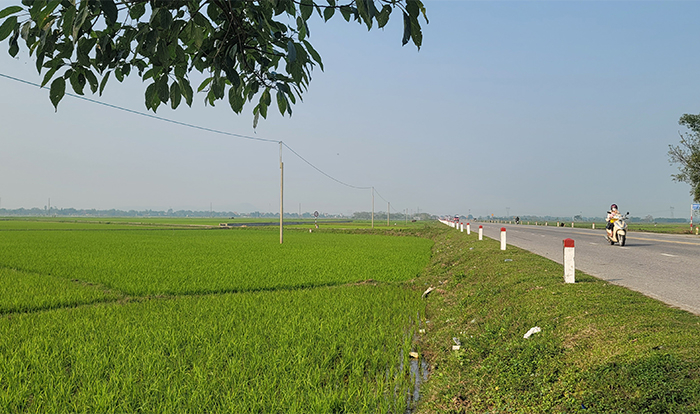 Khi đất làng nổi “sóng” -0