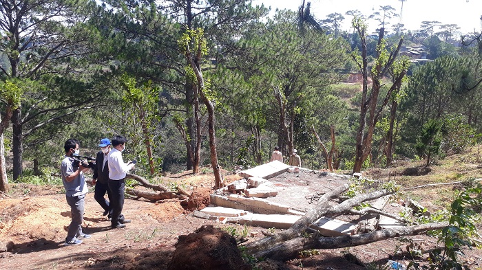 Giải tỏa nóng cây trồng trên đất dự án du lịch -0