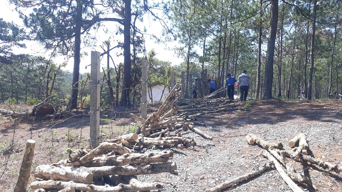 Giải tỏa nóng cây trồng trên đất dự án du lịch -0