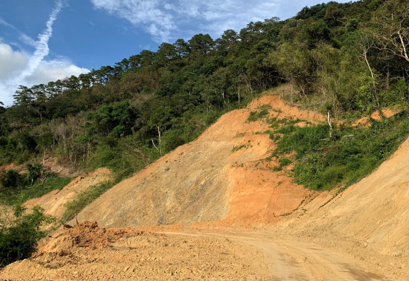 Đắk Lắk lập tổ công tác xác minh vụ phá rừng làm đường -0