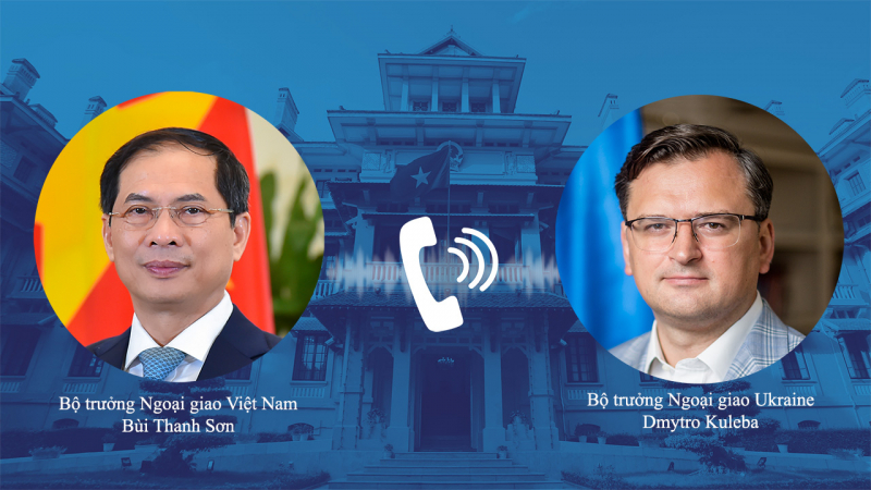 Bộ trưởng Ngoại giao Bùi Thanh Sơn điện đàm với Bộ trưởng Ngoại giao Liên bang Nga và Ukraine -0
