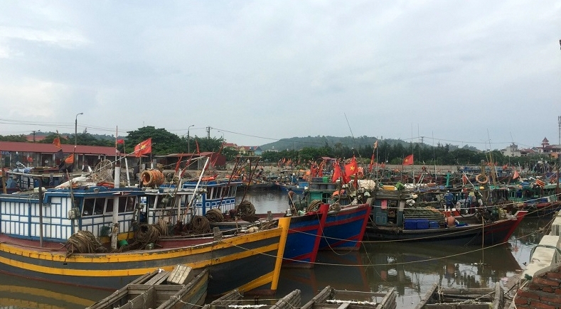 Nhiều tàu cá nằm bờ do giá nhiên liệu tăng cao -0