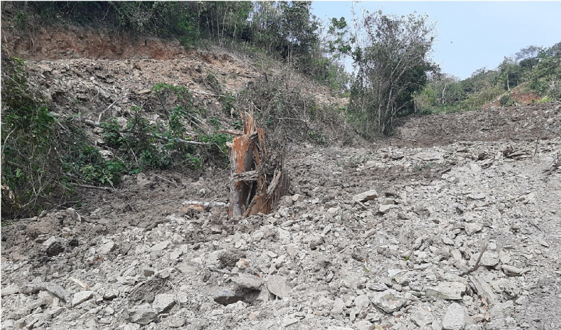 Rầm rộ san ủi đất rừng trái phép nhưng xã bảo không hay biết -0