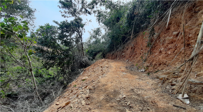 Rầm rộ san ủi đất rừng trái phép nhưng xã bảo không hay biết -0