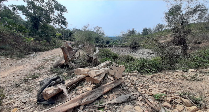 Rầm rộ san ủi đất rừng trái phép nhưng xã bảo không hay biết -1