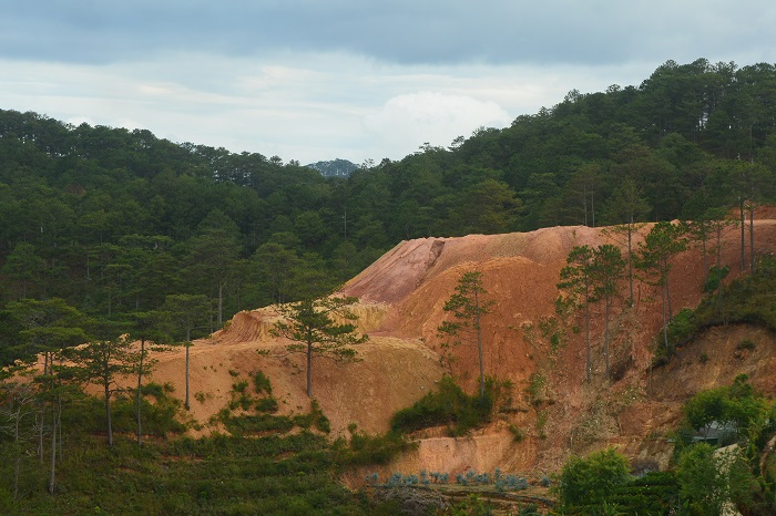 San ủi, hủy hoại đất quy mô lớn ở Lâm Đồng -0